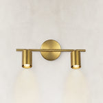 Brass adjustable twin-cylinder picture light shown as a complete fixture