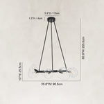 Bubble Glass Ring Chandelier in Matte Black - dimension diagram