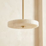 Wood Disc Ceiling (extra sizes) Alabaster by Dalmivik, complete fixture view