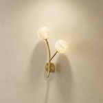Branch Dual Bud Alabaster Wall Sconce by Dalmivik, complete fixture view
