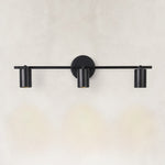 Adjustable Triple Cylinder Picture Light in Matte Black - complete fixture