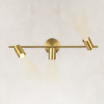 Adjustable Triple Cylinder Picture Light in Natural Brass - alternate angle
