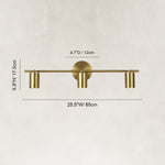 Adjustable Triple Cylinder Picture Light in Natural Brass - dimension diagram