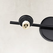 Round wall mounting detail on the matte-black picture light