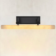 Articulated Picture Light, 20 in in black finish, complete fixture