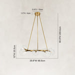 Bubble Glass Ring Chandelier in Aged Brass - dimension diagram