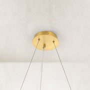 Compact Dandelion Glass Ring Chandelier in Brushed titanium gold - material detail