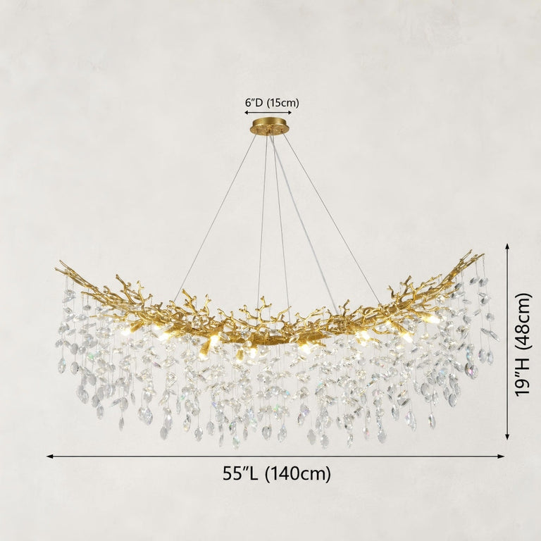 55-inch brass-tone branch chandelier dimension drawing with fixture and canopy dimensions.