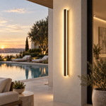 Complete slim linear outdoor wall fixture in entrance or patio setting