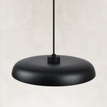 Wide Dome and Orb Pendant, 16 in