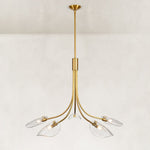 Five-Light Leaf Glass Chandelier in Aged Brass - complete fixture