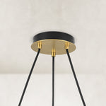 Ring chandelier with ribbed glass shades, black-and-gold canopy.