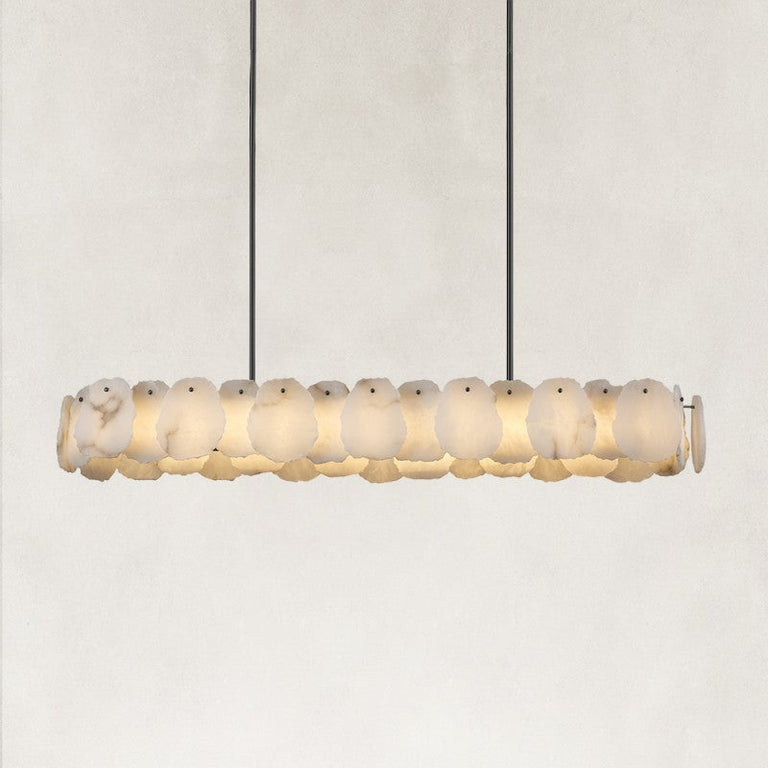 Petal Oval LED Chandelier in black finish, complete fixture