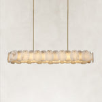 Petal Oval LED Chandelier in brass finish, complete fixture