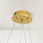 Sculptural Antler Globe Ring Chandelier - canopy detail